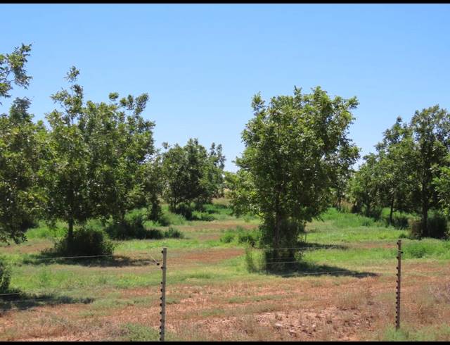 213HA FARM FOR SALE IN HOPETOWN RURAL